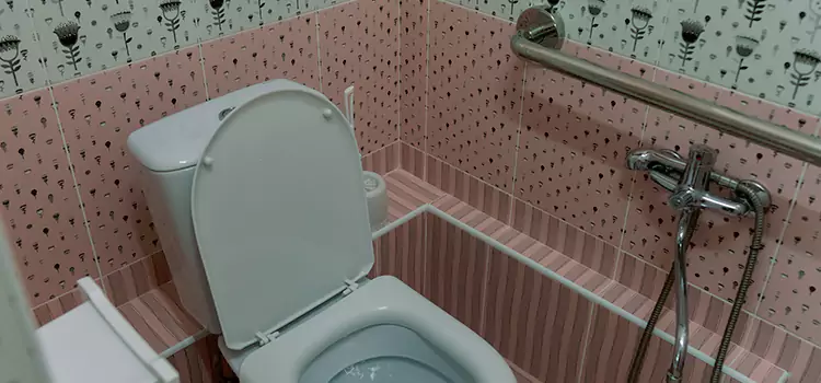 Meeting Diverse Needs With Accessible Restroom Solutions in Kokomo, IN