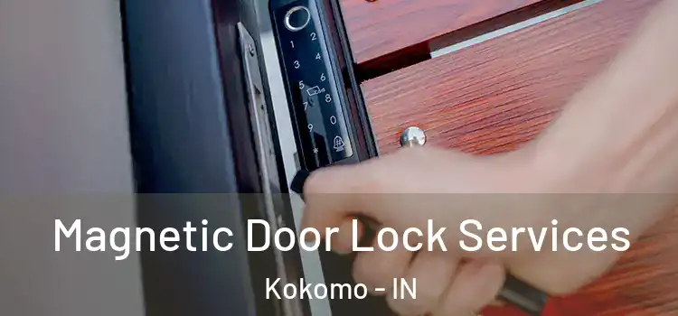 Magnetic Door Lock Services Kokomo - IN